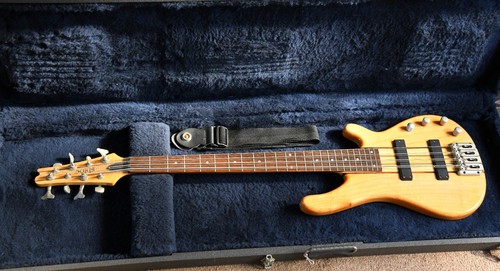 Shine string bass - string,