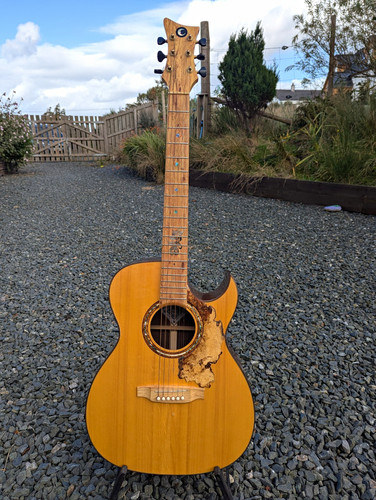 Rizanyi custom acoustic - rizanyi,