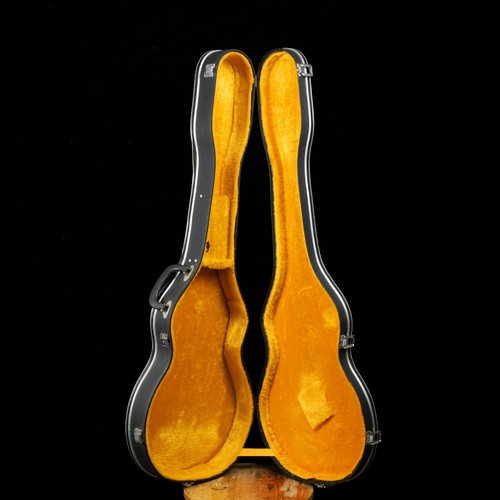 Vintage guitar case - vintage,