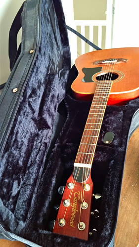 Tanglewood tw28 acoustic - tanglewood,