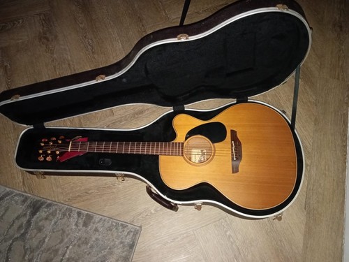 Takamine electro acoustic - takamine,