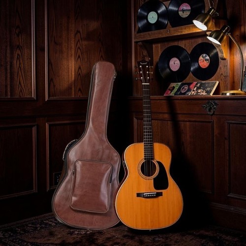 Acoustic guitar bag - acoustic, inch